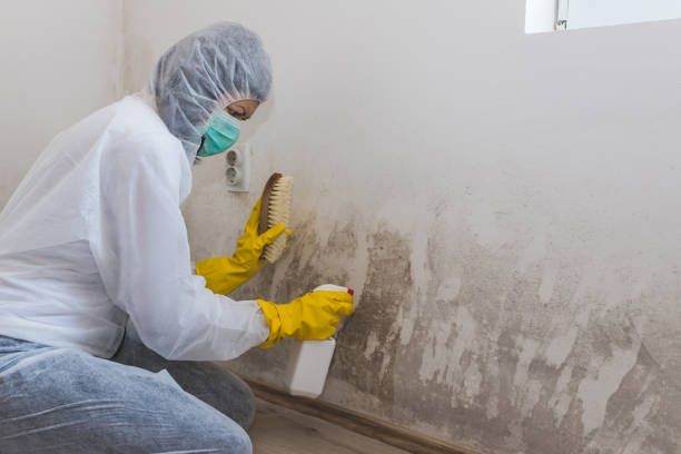 Best Mold Remediation Services  in Caddo, OK