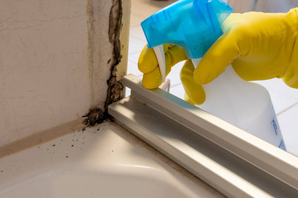 Best Professional Mold Removal  in Caddo, OK