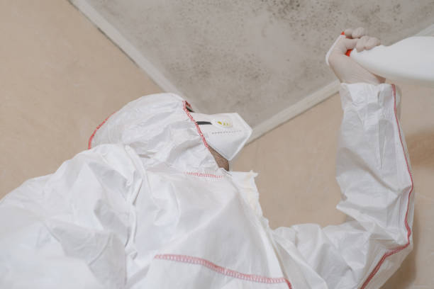 Best Fast Mold Removal  in Caddo, OK