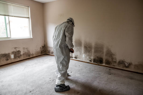 Best Crawl Space Mold Removal  in Caddo, OK